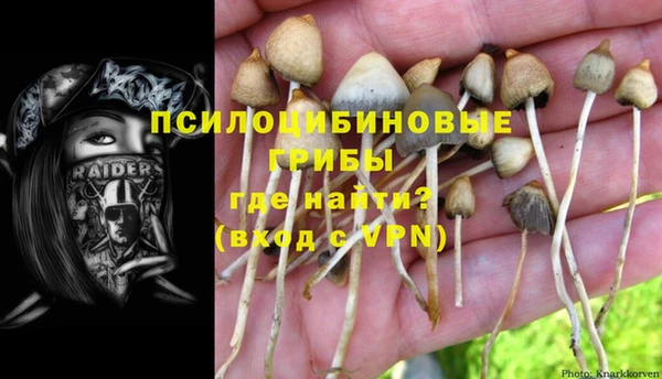 прущий лед Покровск
