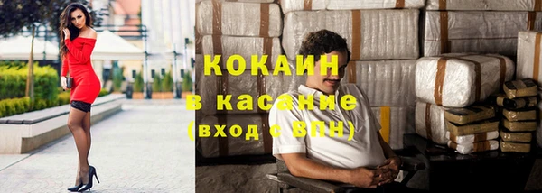 крисы Алексин
