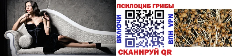 магазин    Сортавала  Галлюциногенные грибы Psilocybe 